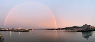 *Dopamine for a New World