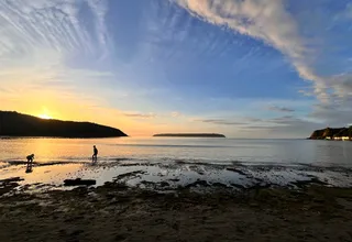 What are the chances the language you're looking for is already inside you?