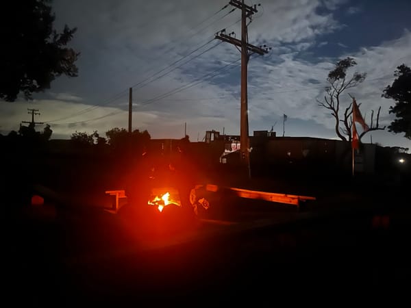 Poppin' off Pānui 11: Words to survive by